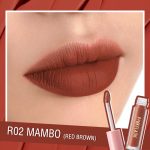 PINK FLASH Melting Matte Waterproof Lipstick - R02