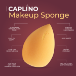 makeup sponge infographic