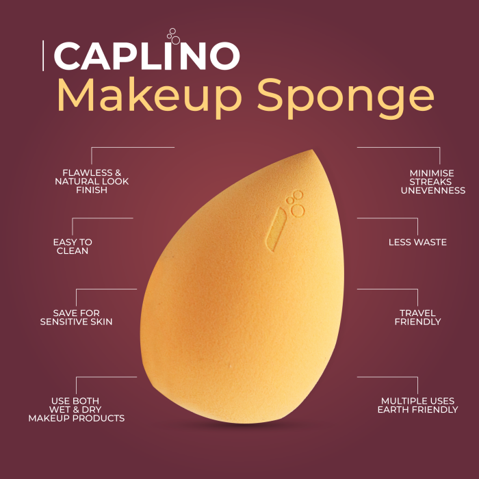 Makeup Sponge Infographic