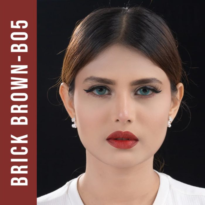 Nirvana Color Matte Bullet Lipstick – Brick Brown B05 .